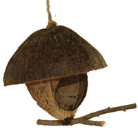Декоративный скворечник из кокосового ореха