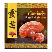 Сушеный гриб Линчжи Kongka Herb 100 гр / Kongka Herb Lingzhi Mushroom 100 g